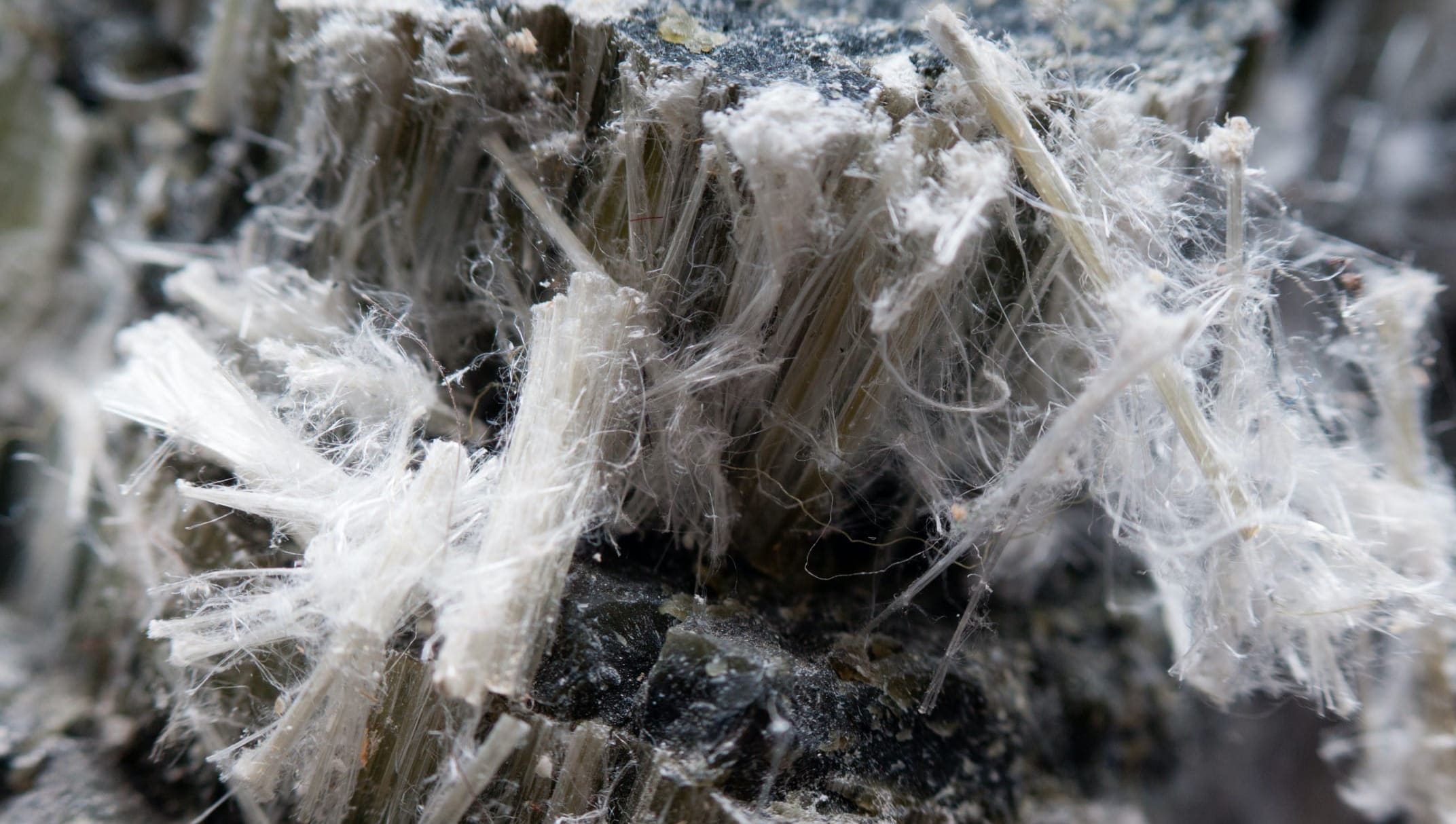 What is an asbestos management plan?