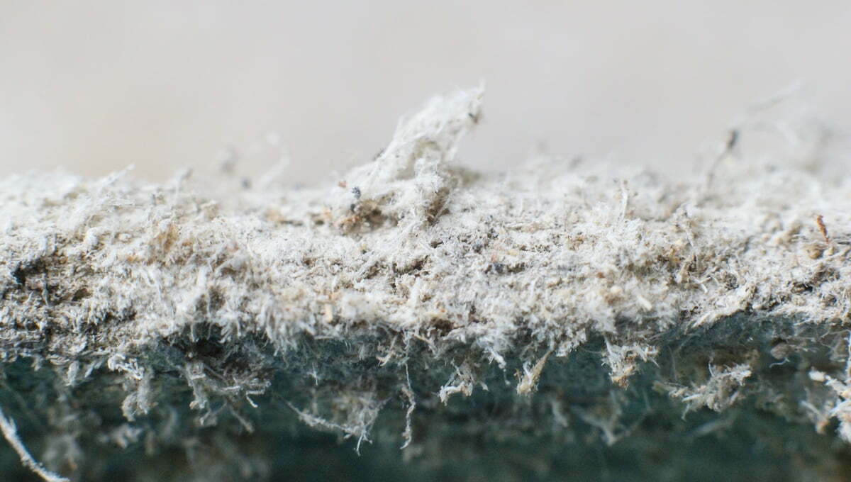 Is pressure mounting for the government to change its approach to managing asbestos?